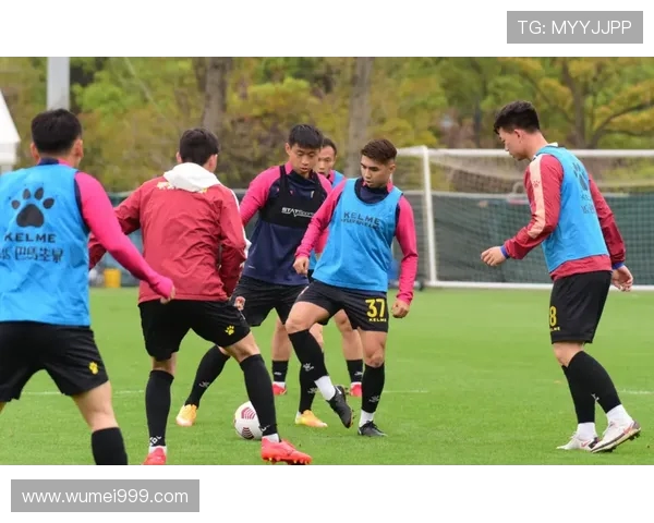 中超联赛志愿者工作总结与组织经验汇总