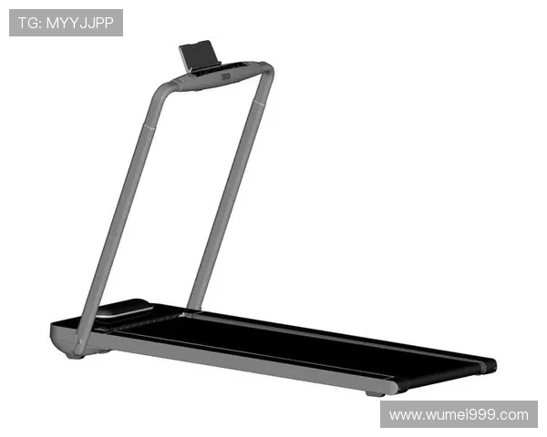 霸器品牌健身器材的市场表现及口碑