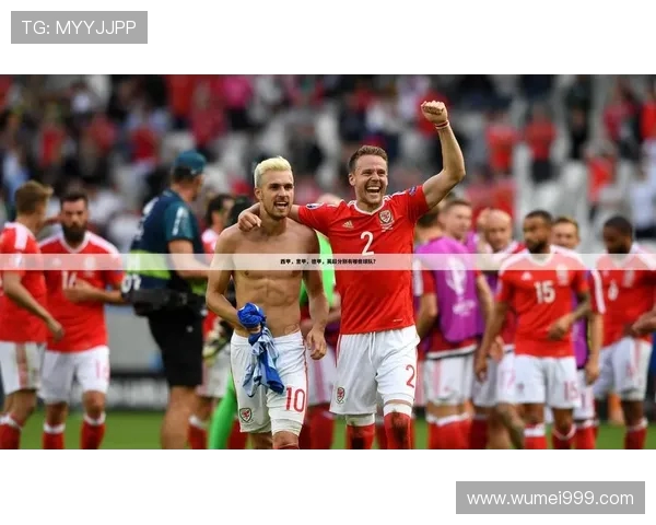 德甲各支球队的传统战术与俱乐部特色全面整理