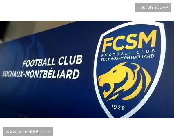 法甲外援表现评估报告：综合评分与未来去向预测