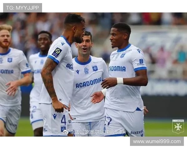 法甲球迷看法问卷调查：对球队表现与联赛制度的意见总结