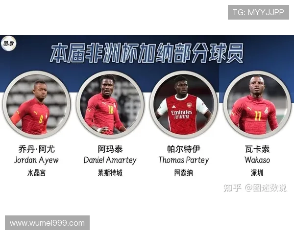 英联邦国家有哪些球员在英超踢球？国籍分布统计