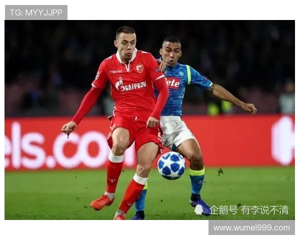 巴西世界杯开支调查：从建设场馆到赛事运营的巨大花费与经济影响分析