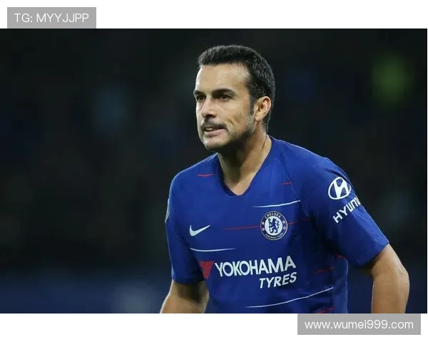 佩德罗去年回本今年大放异彩24岁小将赛季狂轰17球9助蓝军投资6370万回报丰厚 佩德罗去年回本今年大放异彩24岁小将赛季狂轰17球9助蓝军投资6370万回报丰厚